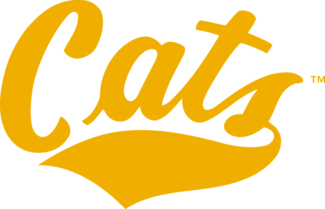 Montana State Bobcats 1982-2012 Wordmark Logo iron on paper